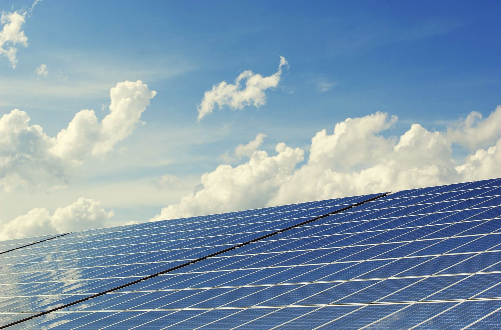 Solar field at sunset
